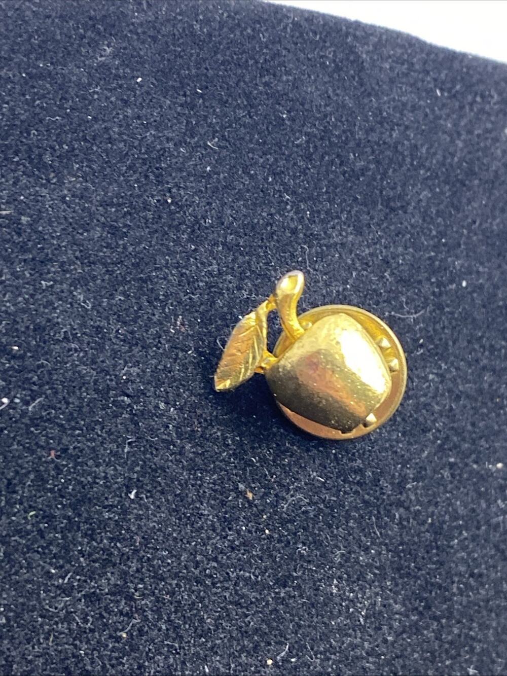Gold Tone Apple Teachers Pin